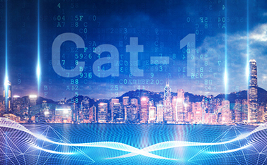 工信部重磅發(fā)文，Cat-1/NB-IoT再次站上新風口