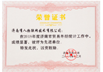 外貿(mào)外經(jīng)共計先進(jìn)單位榮譽證書