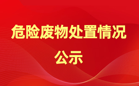 2024年危險廢物產(chǎn)生、處置情況公示